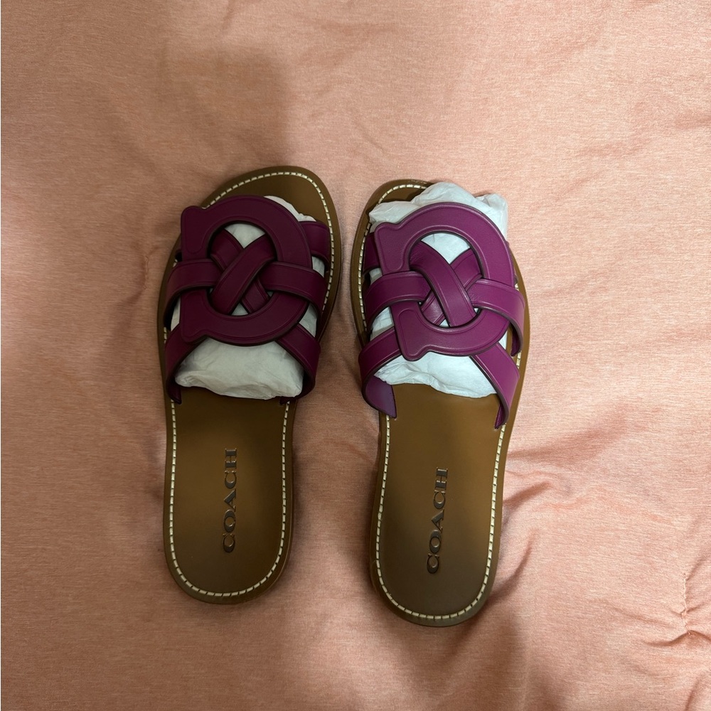Coach Leather Issa Sandal